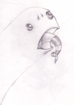11-20-09-01.png